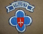 Trieste 88th Division Patch & Tab
