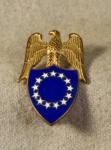 WWII era Army Aide to the President Insignia