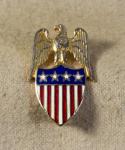WWII era Army Aide to the General Insignia