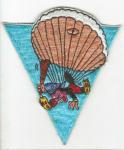 Patch 515th Airborne Infantry Reg Theater Made