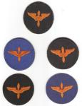 WWII Air Corps Cadet Patch Lot Army Air Force