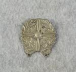 All Insignia, Badges, Awards, and Medals Thumbnail -- Overlooked