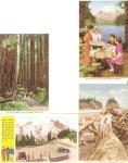 WWII Postcard Lot Washington State Mt St Helens