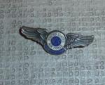 GOC Air Force Observer Pin Insignia Wing